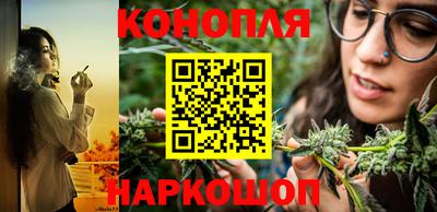 гашик Будённовск