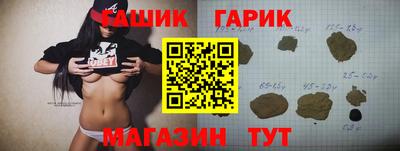 гашик Будённовск